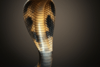 How to Create an Image of a cobra with raised head using AI (Stable Diffusion) with Example Prompt