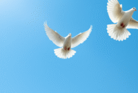 How to Create an Image of a white dove flying in the sky using AI (DALL·E) with Example Prompt